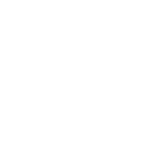 Auditoría Interna